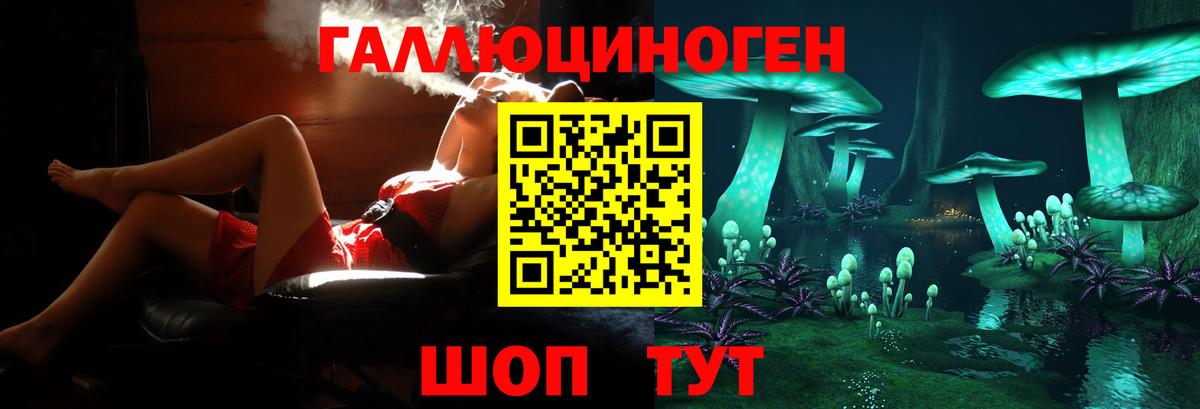 сколько стоит  Галлюциногенные грибы Psilocybine cubensis  Вход с VPN  Дедовск 